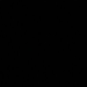 Meet your Posher, Stella